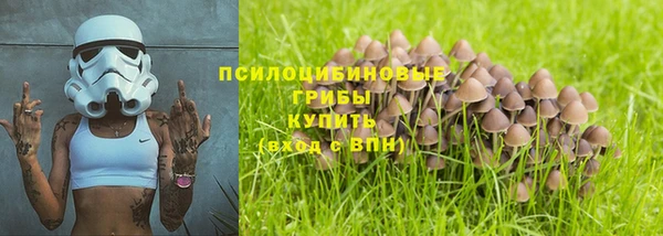 МДПВ Алзамай