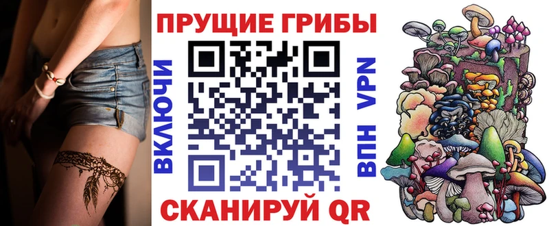 где купить   Дмитров  Галлюциногенные грибы Psilocybe 